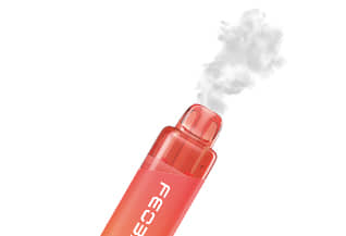 Feoba Nova 6k device producing vapour