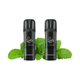 Spearmint