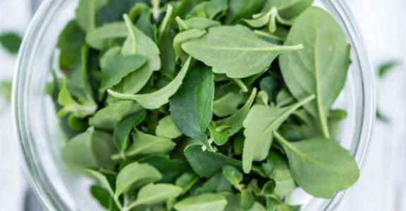 menthol flavoured e liquid