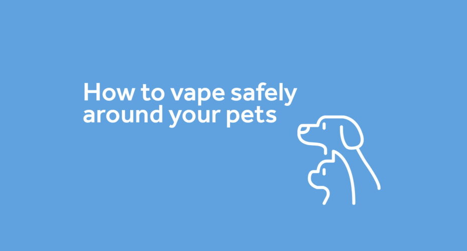 vaping safely around dogs